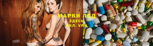 эйфоретик Аркадак
